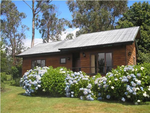 Las Juntas Ecolodge Puyehue Εξωτερικό φωτογραφία